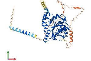 Protein Structure (PS) image for UDP-Gal:betaGlcNAc beta 1,3-Galactosyltransferase, Polypeptide 2 (B3GALT2) (AA 1-422) protein (His tag) (ABIN7552547)