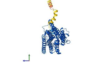 AlphaFold protein structure predicition of Mouse Recombinant Paqr8 Protein, UniprotID Q80ZE5
