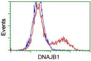 Flow Cytometry (FACS) image for anti-DnaJ (Hsp40) Homolog, Subfamily B, Member 1 (DNAJB1) antibody (ABIN1498737) (DNAJB1 抗体)