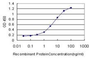 Detection limit for recombinant GST tagged ADAMDEC1 is approximately 0. (ADAMDEC1 抗体  (AA 361-470))