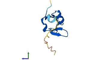 AlphaFold protein structure predicition of Mouse Recombinant Dph3 Protein, UniprotID Q8K0W9