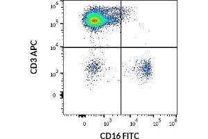 Flow cytometry multicolor surface staining of human lymphocytes using anti-human CD16 (LNK16) FITC antibody (20 μL reagent / 100 μL of peripheral whole blood) and anti-human CD3 (UCHT1) APC antibody (10 μL reagent / 100 μL of peripheral whole blood). (CD16 抗体  (FITC))