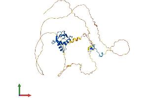 Protein Structure (PS) image for ELK3, ETS-Domain Protein (SRF Accessory Protein 2) (ELK3) (AA 1-407) protein (His tag) (ABIN7547347)