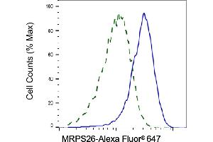 Validation of MRPS26 knockdown using flow cytometry. (Recombinant MRPS26 抗体)