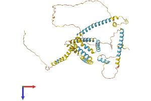 FAM134B Protein (AA 1-480) (His tag)