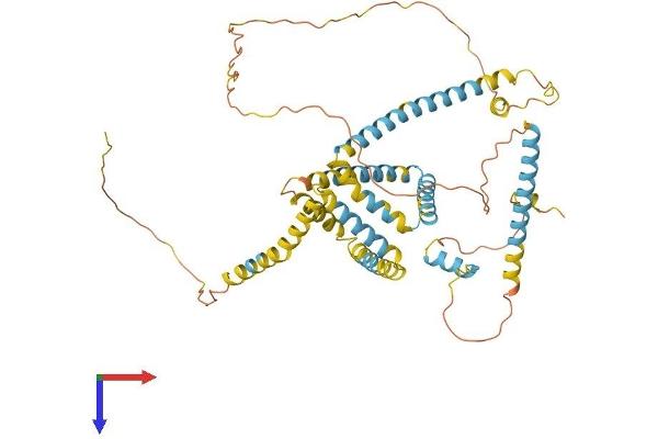 FAM134B Protein (AA 1-480) (His tag)