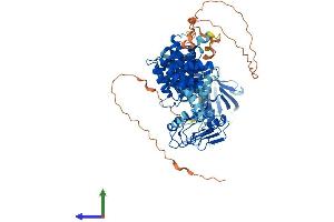 Protein Structure (PS) image for C-Maf Inducing Protein (CMIP) (AA 1-773) protein (His tag) (ABIN7553493)