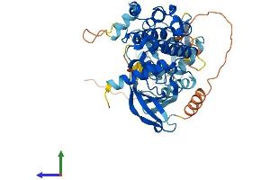 Protein Structure (PS) image for Mitogen-Activated Protein Kinase Kinase 5 (MAP2K5) (AA 1-448) protein (His tag) (ABIN7549506)
