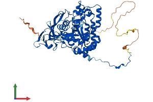 Protein Structure (PS) image for Dihydropyrimidinase-Like 3 (DPYSL3) (AA 1-570) protein (His tag) (ABIN7547257)