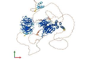 AlphaFold protein structure predicition of Human Recombinant WDHD1 Protein, UniprotID O75717