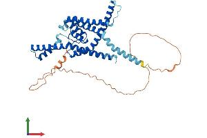 Protein Structure (PS) image for Potassium Channel, Subfamily K, Member 9 (KCNK9) (AA 1-374) protein (His tag) (ABIN7548776)