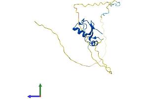 AlphaFold protein structure predicition of Human Recombinant RNF4 Protein, UniprotID P78317 (RNF4 Protein (AA 1-190) (His tag))