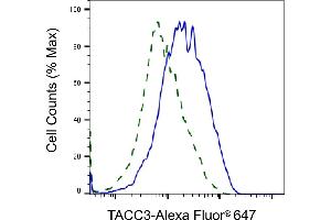 Validation of TACC3 knockdown using flow cytometry. (Recombinant TACC3 抗体)