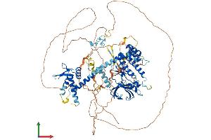 Protein Structure (PS) image for PAN3 Poly(A) Specific Ribonuclease Subunit Homolog (PAN3) (AA 1-887) protein (His tag) (ABIN7554891)