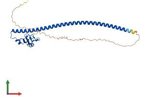 AlphaFold protein structure predicition of Human Recombinant CCNB1IP1 Protein, UniprotID Q9NPC3