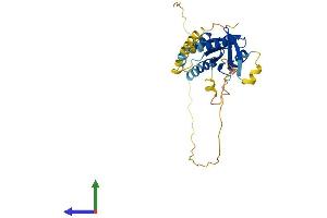 AlphaFold protein structure predicition of Human Recombinant REM1 Protein, UniprotID O75628