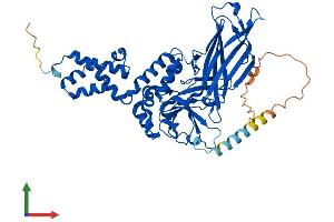 Protein Structure (PS) image for F-Box Protein 3 (FBXO3) (AA 1-480) protein (His tag) (ABIN7561323)