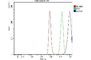 Flow Cytometry analysis of A549 cells using anti-ADAR1/ADAR antibody (ABIN7603211). (DDX3X 抗体  (N-Term))