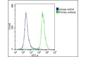 Overlay histogram showing U-2 OS cells stained with (ABIN1538845 and ABIN2849604)(green line). (N6AMT1 抗体  (N-Term))