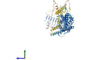 Protein Structure (PS) image for Relaxin/insulin-Like Family Peptide Receptor 2 (RXFP2) (AA 1-754) protein (His tag) (ABIN7555378)