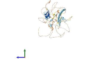 AlphaFold protein structure predicition of Human Recombinant CHAF1A Protein, UniprotID Q13111 (CHAF1A Protein (AA 1-956) (His tag))