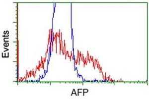 HEK293T cells transfected with either RC206622 overexpress plasmid (Red) or empty vector control plasmid (Blue) were immunostained by anti-AFP antibody (ABIN2452708), and then analyzed by flow cytometry. (alpha Fetoprotein 抗体)