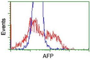 HEK293T cells transfected with either RC206622 overexpress plasmid (Red) or empty vector control plasmid (Blue) were immunostained by anti-AFP antibody (ABIN2452708), and then analyzed by flow cytometry. (alpha Fetoprotein 抗体)