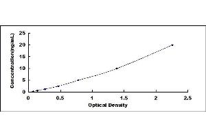 Typical standard curve (DRD3 ELISA 试剂盒)