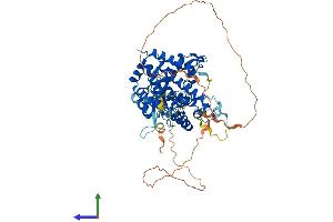 AlphaFold protein structure predicition of Human Recombinant SH2D3A Protein, UniprotID Q9BRG2