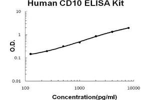 Human CD10/Neprilysin PicoKine ELISA Kit standard curve (MME ELISA 试剂盒)