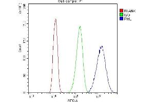 Flow Cytometry analysis of A431 cells using anti-PML antibody (ABIN4886699). (PML 抗体  (N-Term))