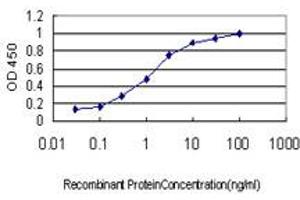 Detection limit for recombinant GST tagged S100A6 is approximately 0. (S100A6 抗体  (AA 1-90))