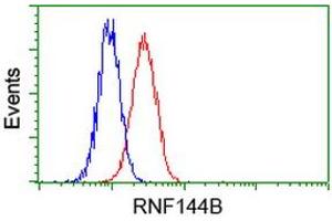Image no. 3 for anti-Ring Finger Protein 144B (RNF144B) (AA 1-256) antibody (ABIN1490644) (RNF144B 抗体  (AA 1-256))