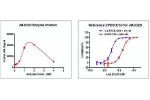 Recombinant JMJD2D / KDM4D activity using AlphaLISA.