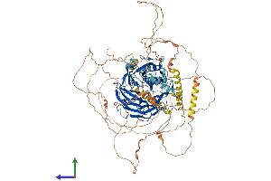 AlphaFold protein structure predicition of Human Recombinant DCAF5 Protein, UniprotID Q96JK2 (DCAF5 Protein (AA 1-942) (His tag))