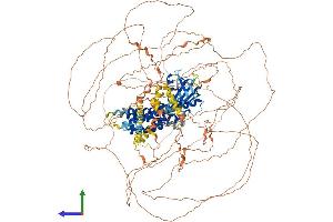 Protein Structure (PS) image for Pleckstrin Homology Domain Containing, Family G (With RhoGef Domain) Member 2 (PLEKHG2) (AA 1-1340) protein (His tag) (ABIN7564052)
