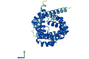 Protein Structure (PS) image for Solute Carrier Family 25 (Mitochondrial Carrier, Adenine Nucleotide Translocator), Member 5 (SLC25A5) (AA 1-298) protein (His tag) (ABIN7563402)