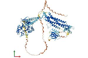 AlphaFold protein structure predicition of Human Recombinant DNM2 Protein, UniprotID P50570