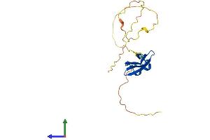 Protein Structure (PS) image for Heat Shock 22kDa Protein 8 (HSPB8) (AA 1-196) protein (His tag) (ABIN7548451)