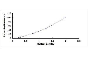 Typical standard curve (IRAK4 ELISA 试剂盒)