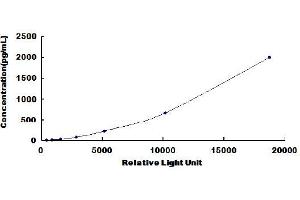 ELISA image for Cardiac Troponin T (cTnT) CLIA Kit (ABIN1873162)