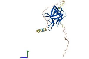 AlphaFold protein structure predicition of Human Recombinant FGF12 Protein, UniprotID P61328