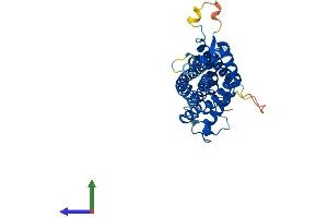 Protein Structure (PS) image for Peroxisomal Biogenesis Factor 3 (PEX3) (AA 1-372) protein (His tag) (ABIN7561768)