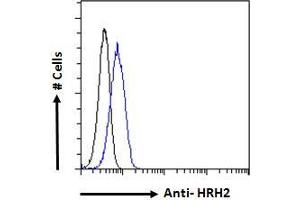 ABIN185463 Flow cytometric analysis of paraformaldehyde fixed HeLa cells (blue line), permeabilized with 0. (HRH2 抗体  (C-Term))