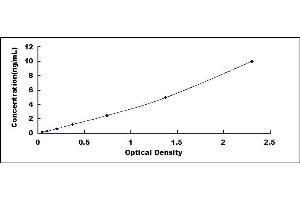 Typical standard curve (Lamin B1 ELISA 试剂盒)