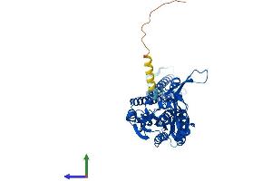 AlphaFold protein structure predicition of Mouse Recombinant Sars1 Protein, UniprotID P26638