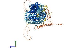 Protein Structure (PS) image for Upregulator of Cell Proliferation (URGCP) (AA 1-931) protein (His tag) (ABIN7555979)