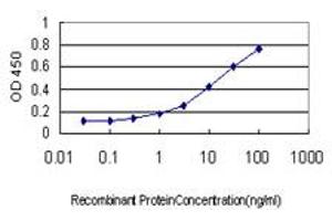 Detection limit for recombinant GST tagged NAAA is approximately 0. (NAAA 抗体  (AA 36-104))