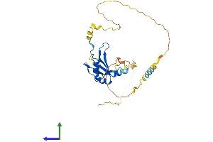 Protein Structure (PS) image for Poly(A) Binding Protein, Nuclear 1-Like (Cytoplasmic) (PABPN1L) (AA 1-278) protein (His tag) (ABIN7547385)