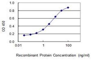 Detection limit for recombinant GST tagged KIAA0226 is 0. (Rubicon 抗体  (AA 1-375))